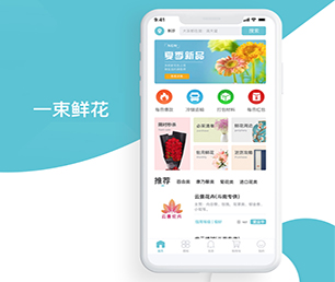 秦皇岛苹果APP开发OA系统让数字化转型更加轻松，让生活更美好【数字化转型首选，特价抢购】